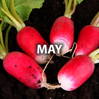 May