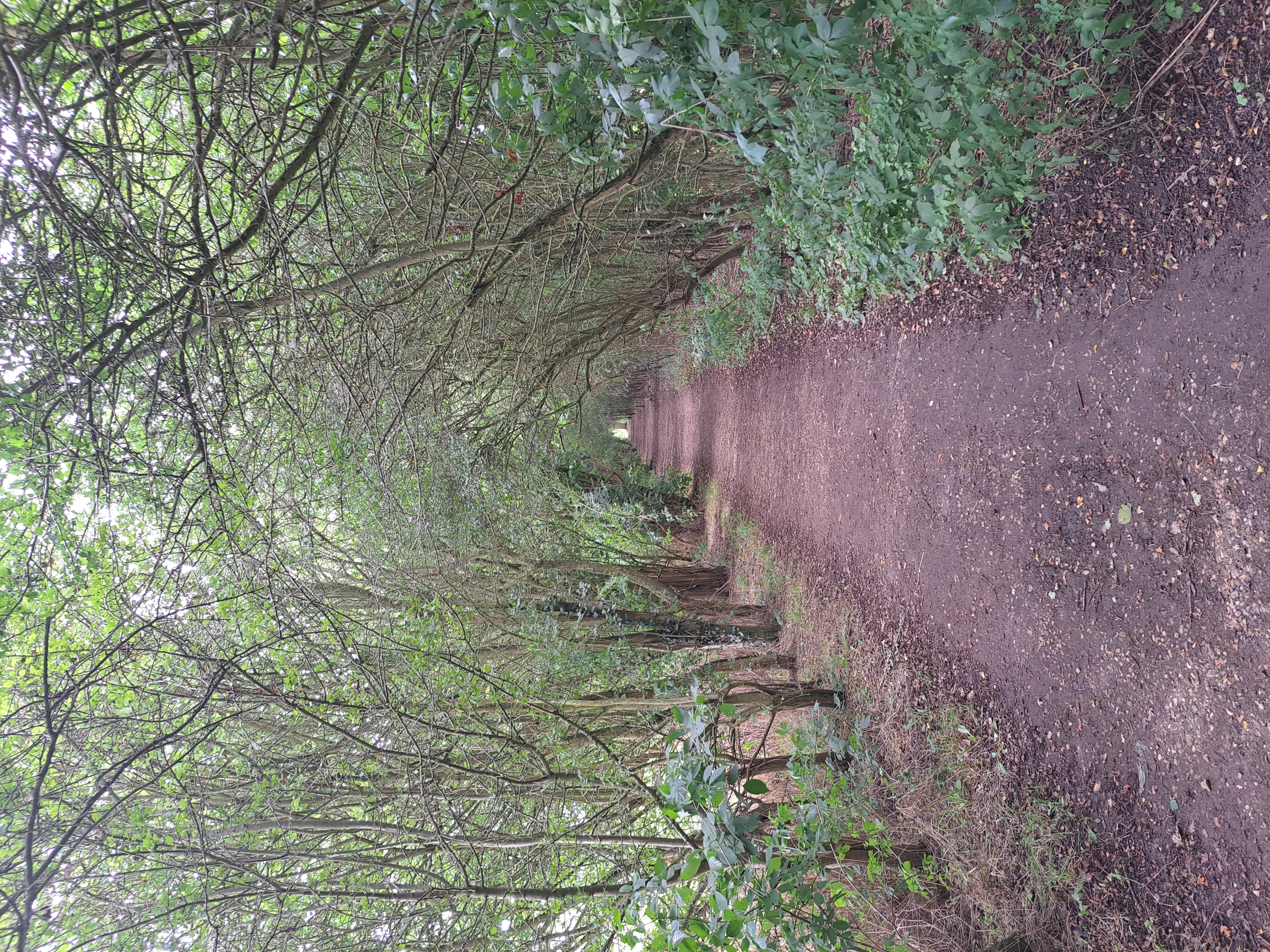 Walks in Redditch