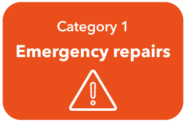 Category 1