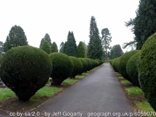 Geograph 6059070 By Jeff Gogarty