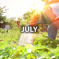 July
