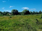 Bordesley to Museum