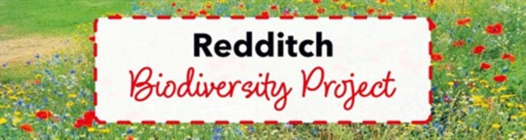 Banner-  Biodiversity Project