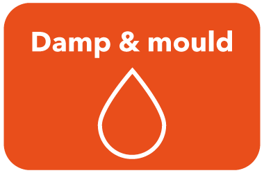 Damp and Mould