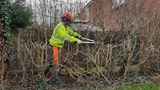 Environmental Services at Work - Hedge Cutting